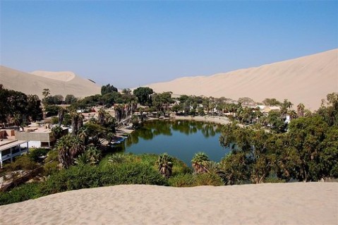 desert-oasis-photos2
