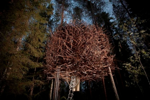 Treehotel-Sweden-Birds-Nest