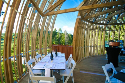 Yellow_Treehouse_Restaurant_Auckland_New_Zealand_Pacific_Environments_Architects_15
